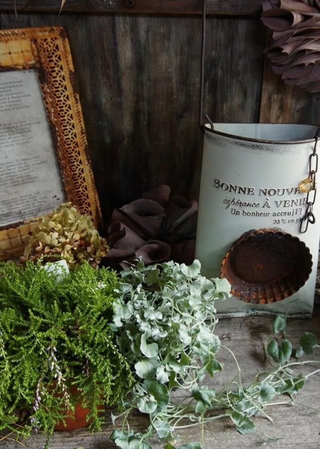 󤻿åȡڥᥤ֥ꥭwhite♡롼ʡ