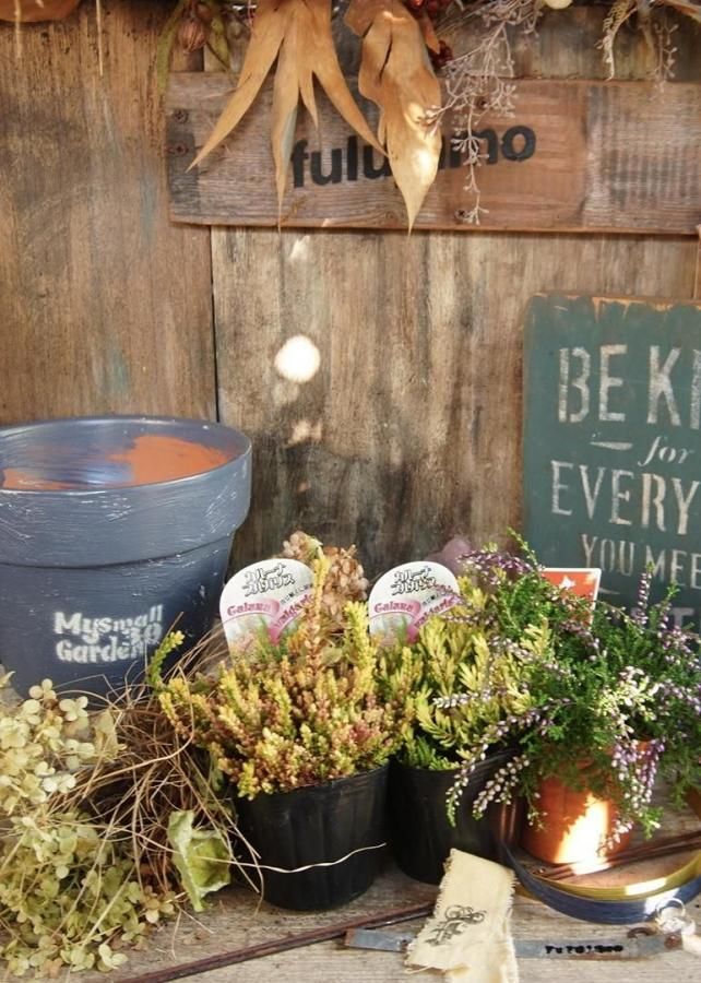 󤻿åȡڥᥤƥ饳åȼŻ♡롼ʡ