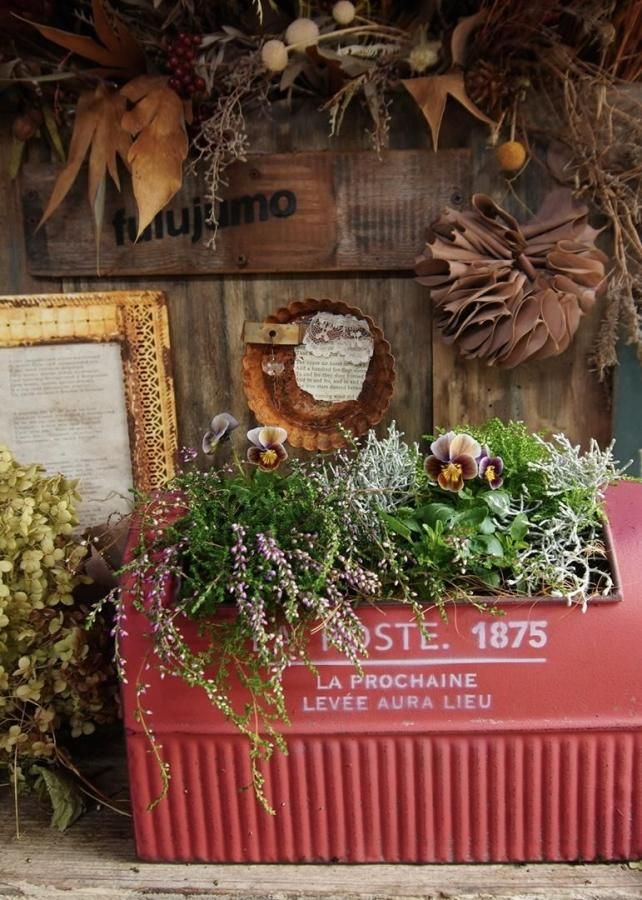 󤻿ʡ֥֥ꥭ♡֥롼٥꡼