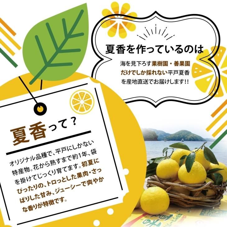 夏香ページ 平戸夏香（期間限定）| とろける果汁と爽快感 - 平戸瀬戸市場