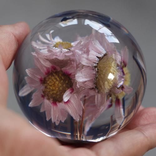 HAFOD GRANGE社 PAPER WEIGHT/ペーパーウェイト/Rhodanthe