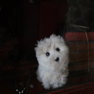 vintage stuffed dog/ビンテージ 犬 ぬいぐるみ(A169)