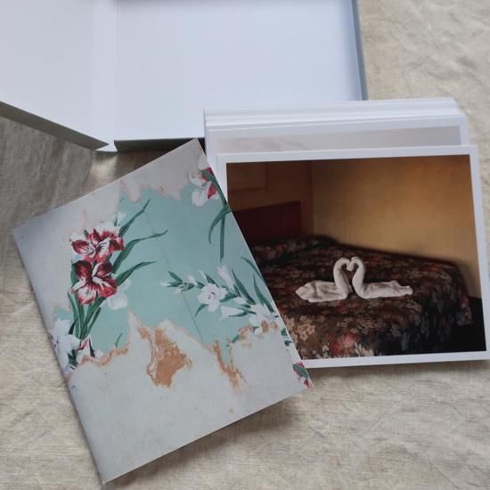 Alec Soth Gathered Leaves 未開封 アレック・ソス【Gathered Leaves】 - 京都にある、美術洋書