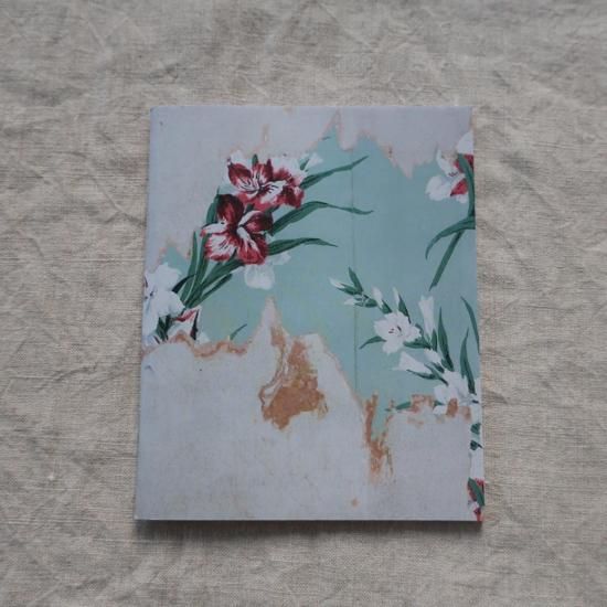 GATHERED LEAVES POSTCARDS by Alec Soth