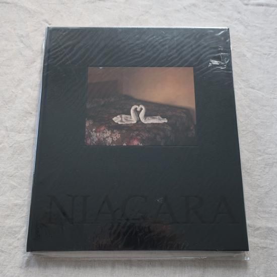 NIAGARA by Alec Soth NIAGARA by Alec Soth