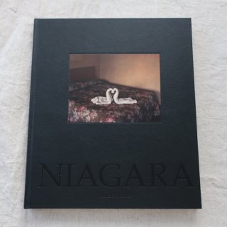 NIAGARA by Alec Soth 