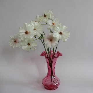 Vintage Fenton Cranberry Coin Dot  Thumbprint Ruffled Vase/ӥơ եȥ ե١/ִ/(A483)