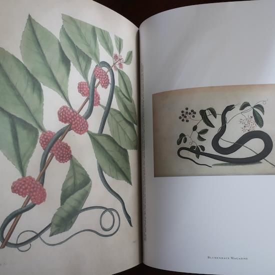 blumenhaus カネコアヤノ blumenhaus Art &Botanical issues3 カネコアヤノ discography