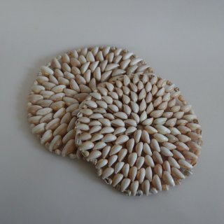 Vintage Shell TRIVET Pot Holder/ӥơ  ߤ/(L)(A716)