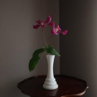 花瓶/フラワーベース - FlorBuho