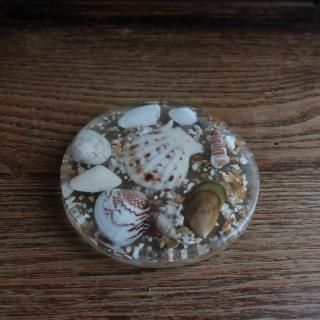 Vintage Shell Lucite Acrylic Coaster (A985)