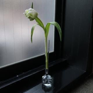 Vintage 1950s bubbles glass flower vase (B015)