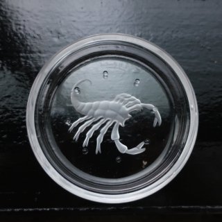 Vintage Val Saint-Lambert Glass Coaster Scorpio (B073)