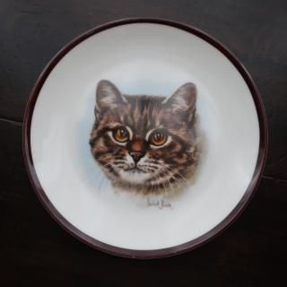Vintage Made in England Cat  Plate (B083) 