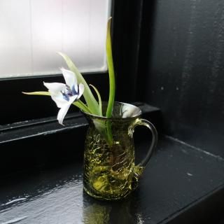 Vintage Mini Avocado Green Glass Flower Vase (B130)