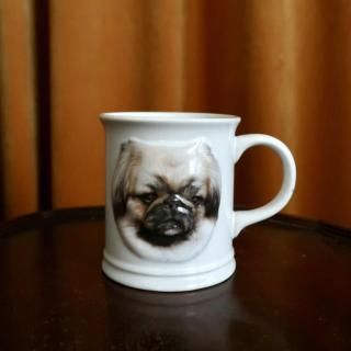Used Pekingese Coffee Mug(B419)