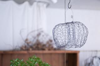 Ԥ torus / tipura studio