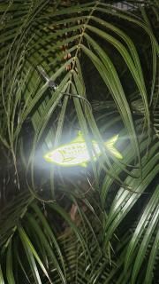 ʪե쥯 Shusse-Uo / Lee Izumida