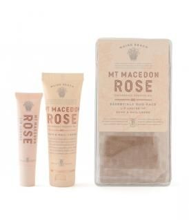 Mt. MACEDON ROSE- ޥɥ  å󥷥롡åץСߥ˥ϥɥ꡼ åȤξʲ