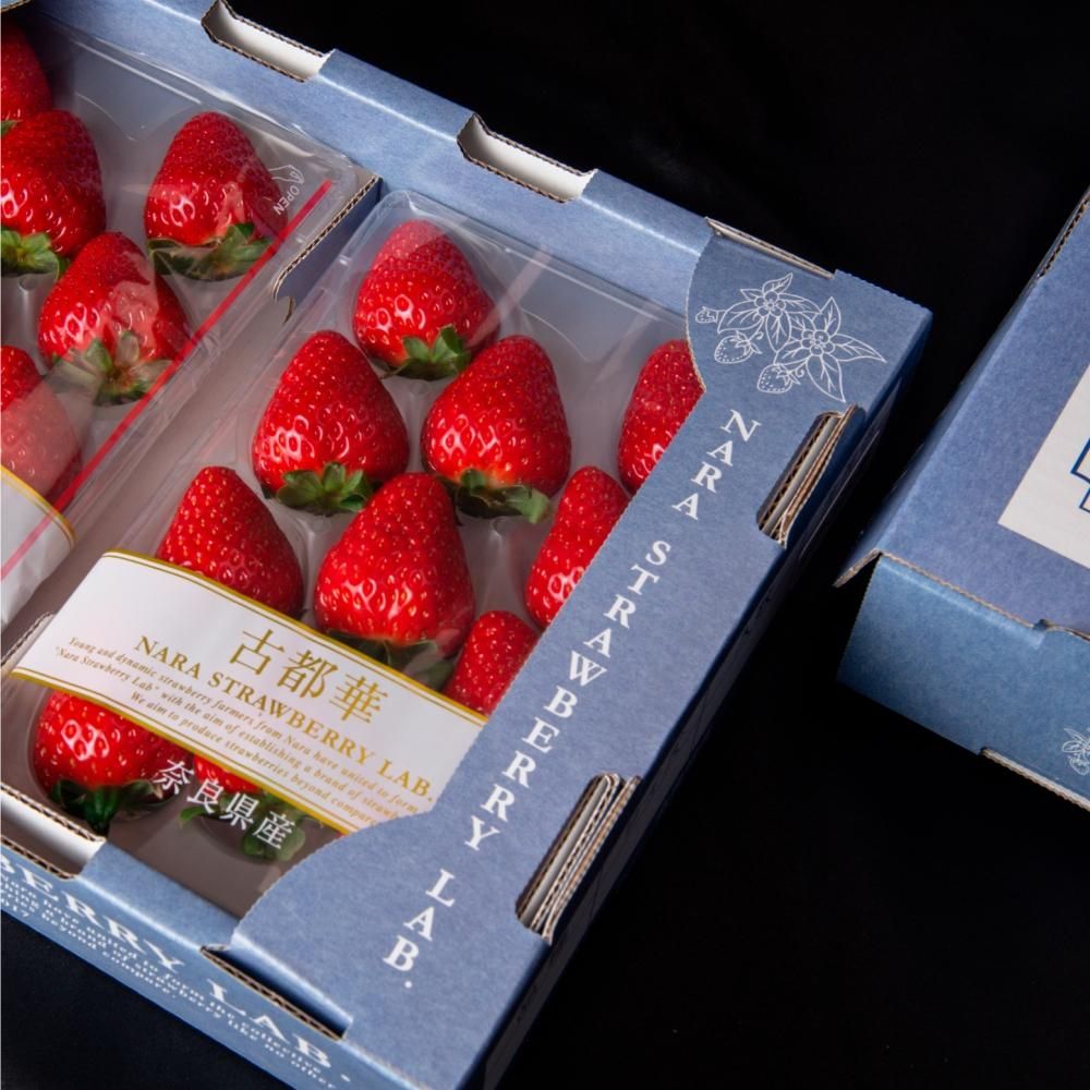 古都華 2P入り - 奈良いちごラボ 高級いちご通販 公式オンライン 古都華 2P入り - 奈良いちごラボ 高級いちご通販 公式オンライン