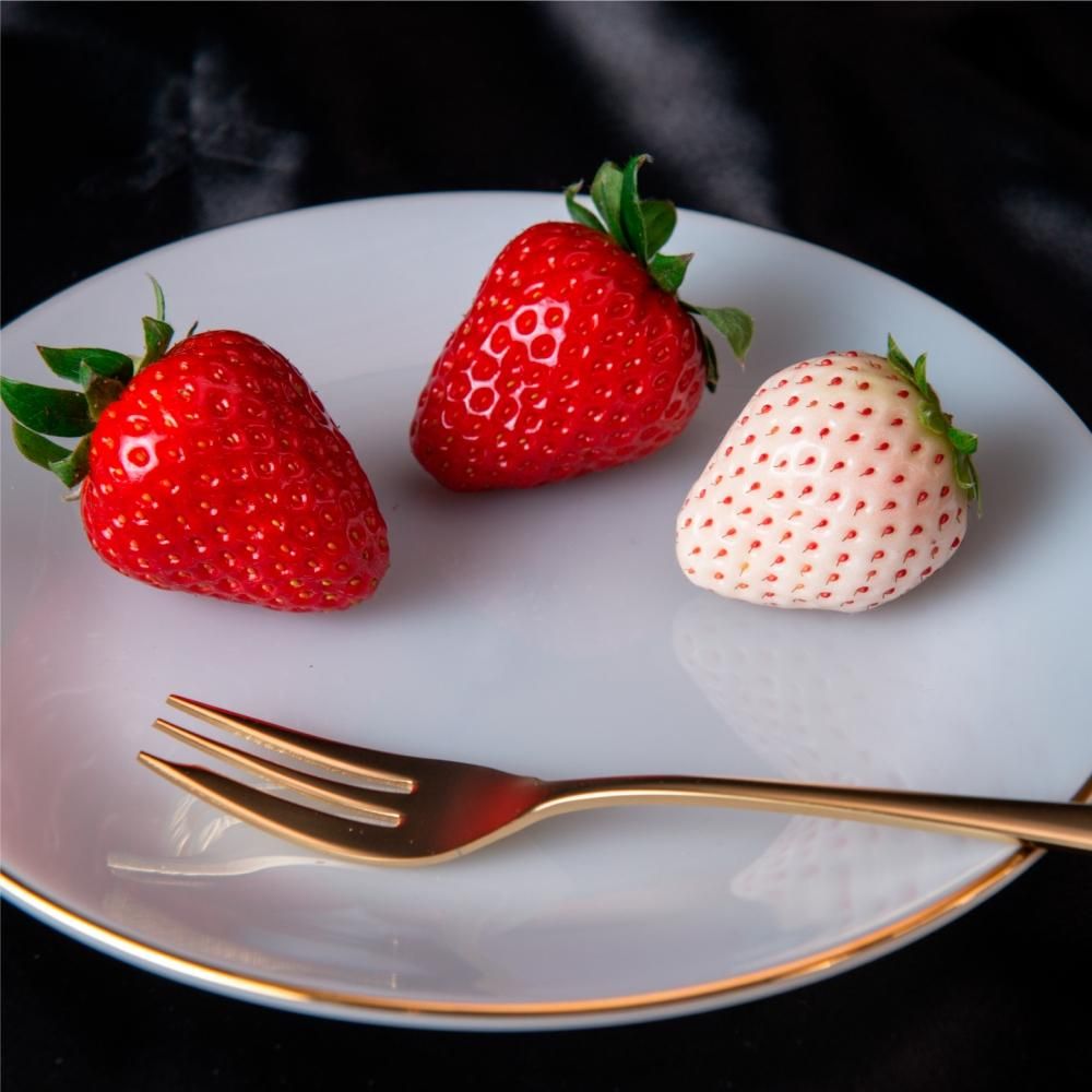 古都華・パールホワイト 2P入り - 奈良いちごラボ 高級いちご 古都華・パールホワイト 2P入り - 奈良いちごラボ 高級いちご