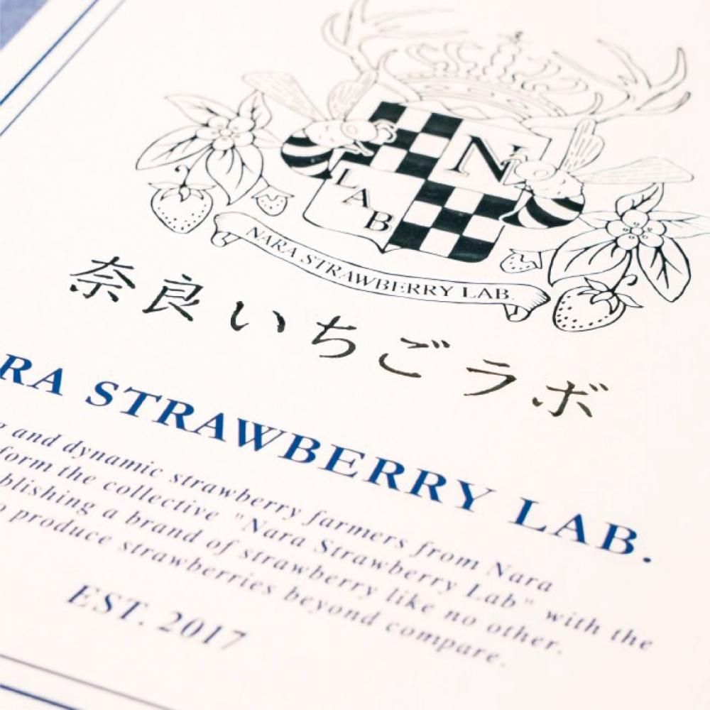 古都華・パールホワイト 2P入り - 奈良いちごラボ 高級いちご