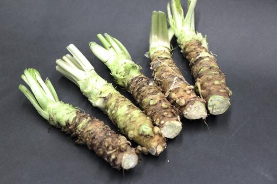 安曇野ブランド本わさび | 市場直送だから驚安で仕入れ可能