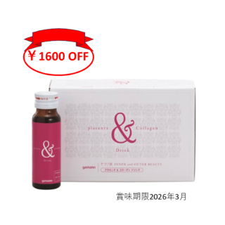 �ڡ�1600�����ۥץ饻�󥿡����顼����ɥ��