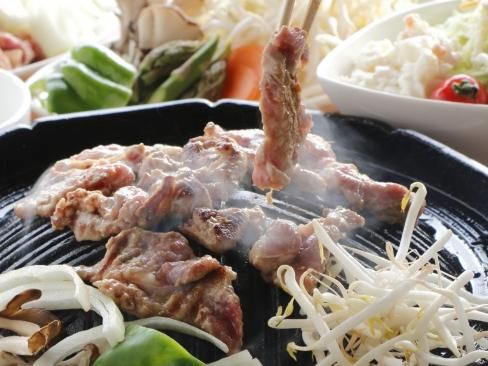 ホワイトラムジンギスカン8人前-1200g - 富良野ジンギスカン