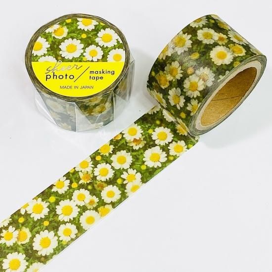 MIND WAVE(マインドウェイブ) sheer photo マスキングテープ yellow 95054