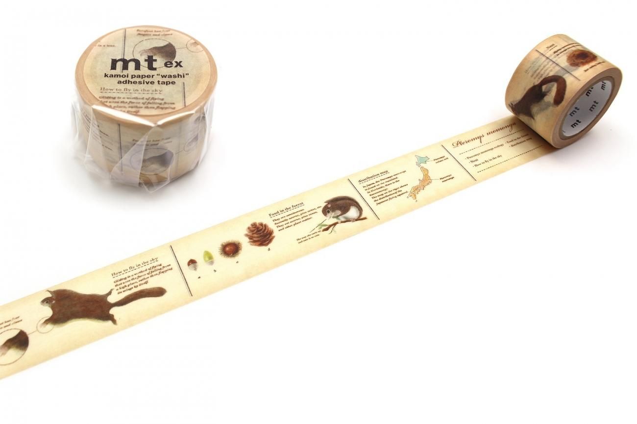 新品/mt マステ　まとめ売り mt限定　大量　カモ井加工 KAMOI カモ井加工紙] マスキングテープ ＜mt＞EXシリーズ 2024春