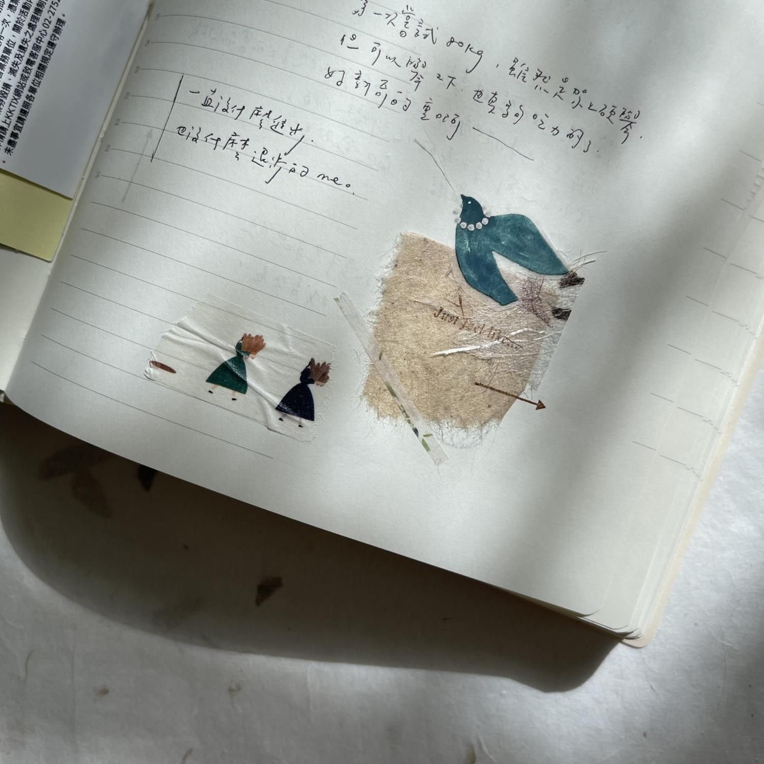 Pion PETテープ Bird Island pion-026