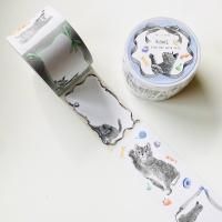 ロールマステ　まとめ売り タチカワ ロールスクリーン デュオレ