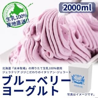 <img class='new_mark_img1' src='https://img.shop-pro.jp/img/new/icons13.gif' style='border:none;display:inline;margin:0px;padding:0px;width:auto;' />̳ƻؿҾ٤κꤿ100%Υꥢ󥸥顼 إ֥롼٥꡼衼ȡ 2000ml    㡼٥å Х륯 GIGI     ͵ 