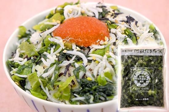 阿蘇高菜 塩漬 1kg 阿蘇高菜漬の森物産