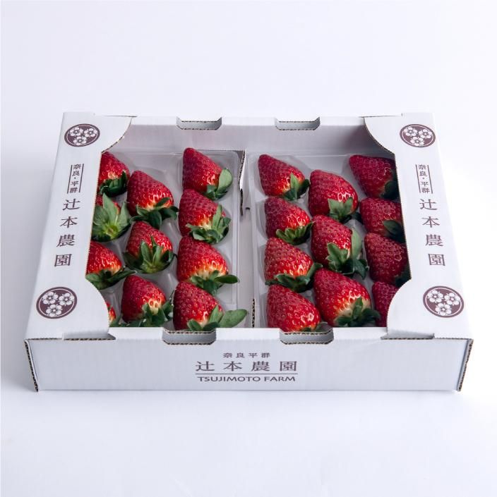 古都華 2 L サイズ11粒× 2 P - 辻本農園 いちご専門(古都華 古都華 2 L サイズ11粒× 2 P - 辻本農園 いちご専門(古都華