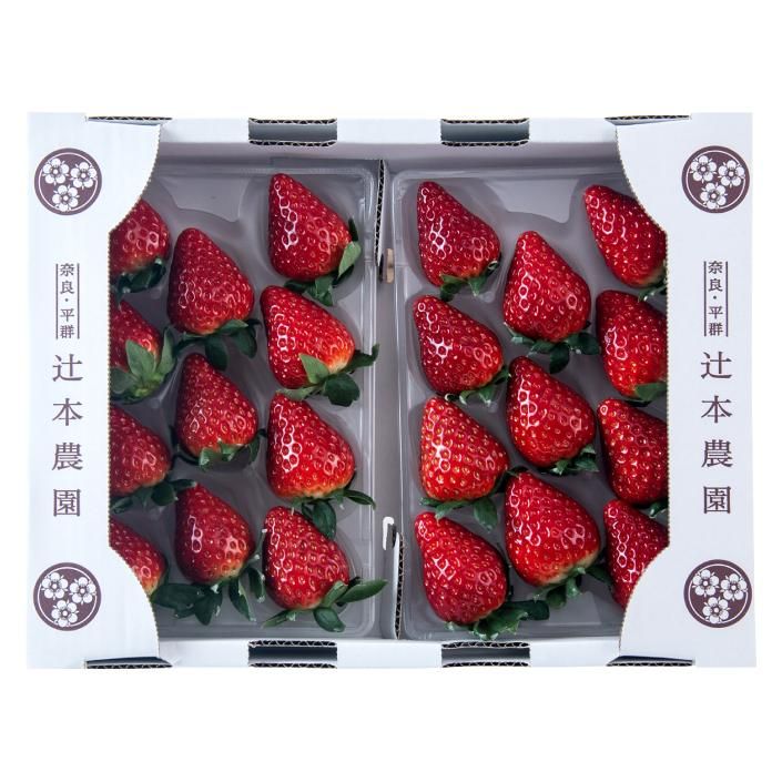 古都華 2 L サイズ11粒× 2 P - 辻本農園 いちご専門(古都華 古都華 2 L サイズ11粒× 2 P - 辻本農園 いちご専門(古都華