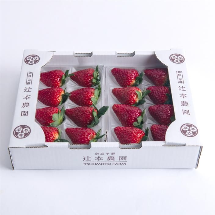 古都華 4 L サイズ8 粒× 2 P - 辻本農園 いちご専門(古都華 古都華 4 L サイズ8 粒× 2 P - 辻本農園 いちご専門(古都華