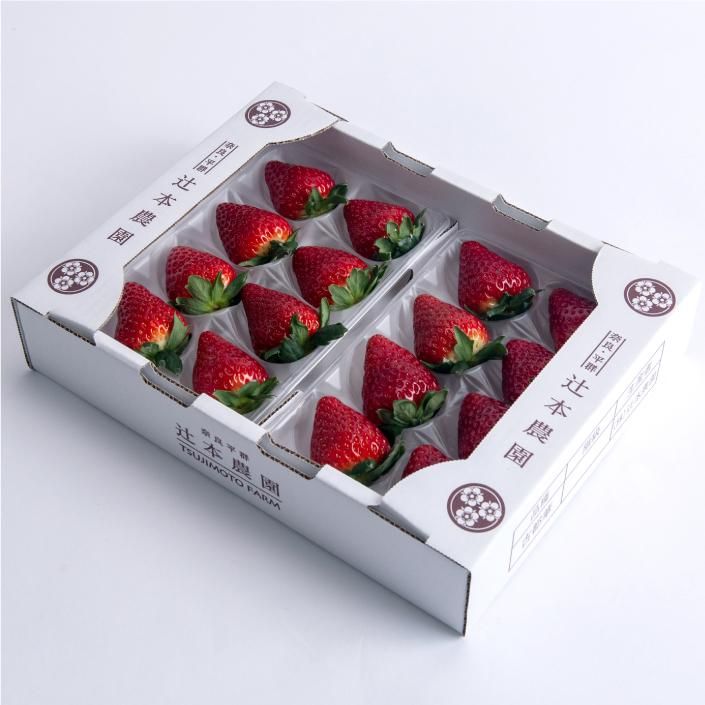 古都華 4 L サイズ8 粒× 2 P - 辻本農園 いちご専門(古都華 古都華 4 L サイズ8 粒× 2 P - 辻本農園 いちご専門(古都華