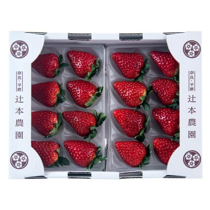 古都華 4 L サイズ8 粒× 2 P - 辻本農園 いちご専門(古都華 古都華 4 L サイズ8 粒× 2 P - 辻本農園 いちご専門(古都華
