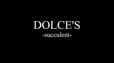襤¿ʪ | ٥ꥢɥĤ | DOLCES -succulent-