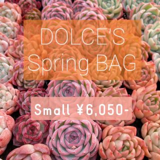 Spring BAG -Small-