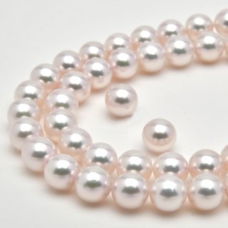 花珠真珠 - 伊勢・志摩 真珠製品、加工、卸、通信販売 シーズ ジェム