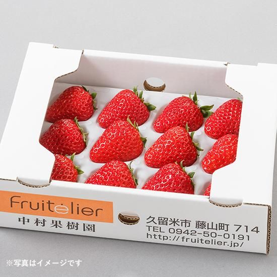 特選 完熟いちごギフト(12玉前後×2箱)〈紅ほっぺ〉 - Fruitelier 特選 完熟いちごギフト(12玉前後×2箱)〈紅ほっぺ〉 - Fruitelier