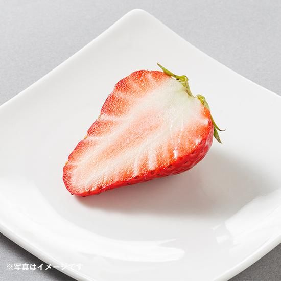 特選 完熟いちごギフト（12玉前後×2箱）〈紅ほっぺ〉 - Fruitelier