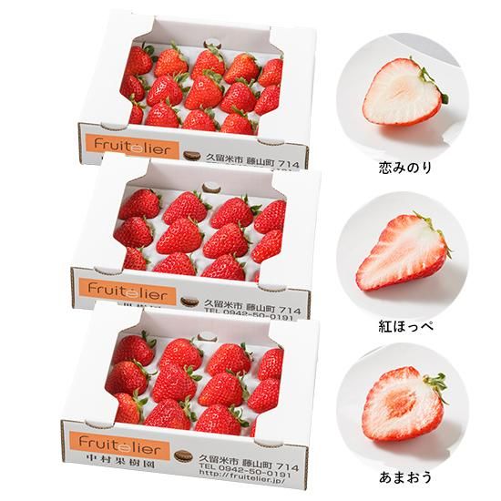 旬のイチゴを堪能する「いちご12種食べ比べ」＆新発売！「いちご