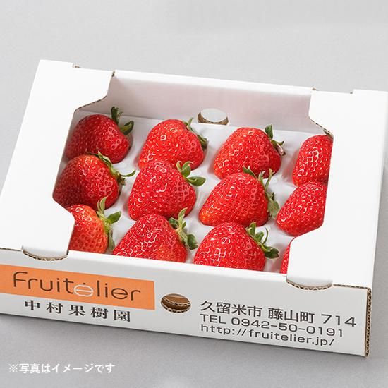 箱番号.12 A級大玉アテモヤ贈答品 食品