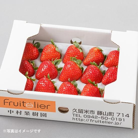 特選 完熟いちごギフト（12玉前後×2箱）〈恋みのり〉 - Fruitelier