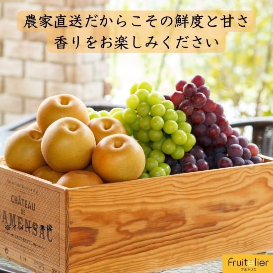 人気No1♪梨シャインマスカット詰合せギフト - Fruitelier 人気No1♪梨シャインマスカット詰合せギフト - Fruitelier
