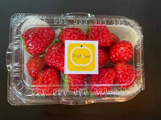 nommi 果物シリーズ オレンジ アボカド ブルーベリー いちご まとめ売り nommi 果物シリーズ オレンジ アボカド ブルーベリー いちご